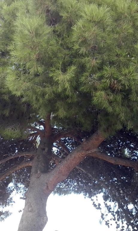 Huerta La Nina Arenas Villa Orgiva Rum bild